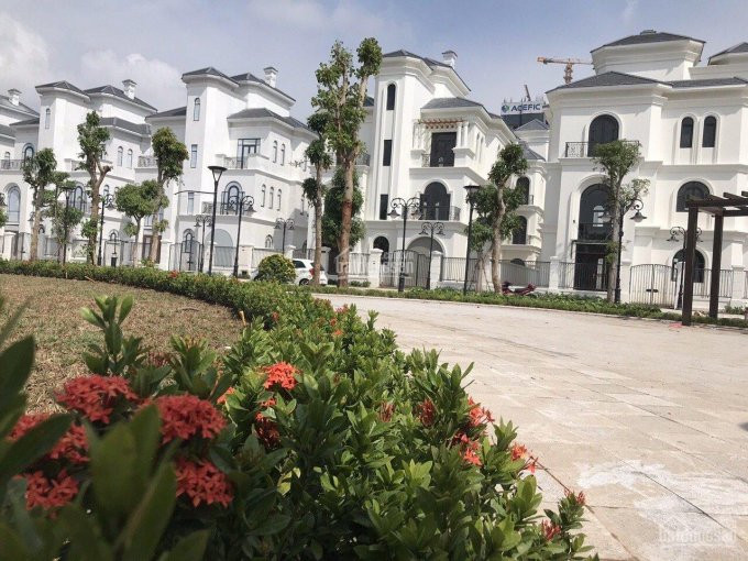 đơn Lập đẹp Nhất Ngọc Trai - Vinhomes Ocean Park, 288m2 Giá Chỉ Hơn 20 Tỷ Bao Phí, Lh 0975344463 3