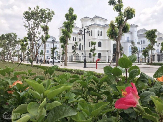 đơn Lập đẹp Nhất Ngọc Trai - Vinhomes Ocean Park, 288m2 Giá Chỉ Hơn 20 Tỷ Bao Phí, Lh 0975344463 5