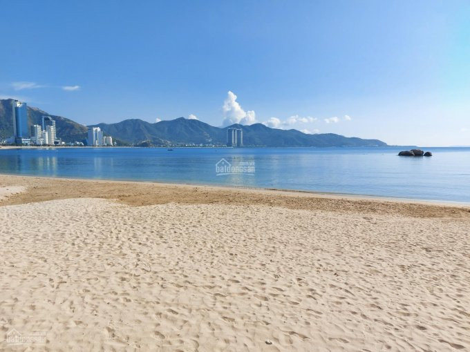 Hàng Hiếm Cần Tiền Bán Gấp View Trực Biển Hòn Chồng, Nha Trang, Dt 1766m2 Ngang 8m, Giá 185tr/m2 1