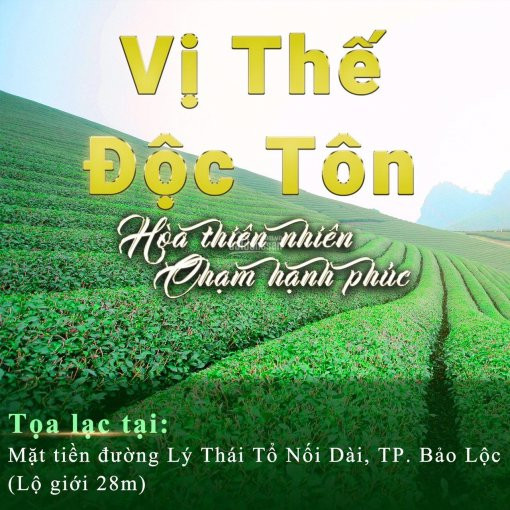 Làng Sinh Thái Bảo Lộc: Kiệt Tác Của Thiên Nhiên: La Nature: Chỉ 739 Triệu/ Nền Biệt Thự Rừng Thông 2