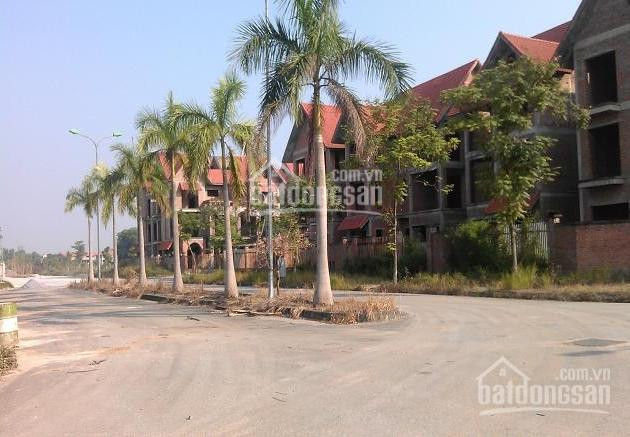 Lô đất Biệt Thự Giá Rẻ Dt 1898 M2, Hướng đông Khu Quang Minh Vinaconex2, Mê Linh, Hn 1