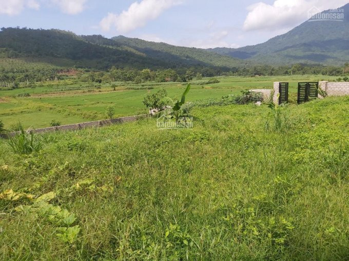 Lô đất Vàng Trong Làng Nghỉ Dưỡng Cực Phẩm Tuyệt đẹp Tại Yên Bài, Ba Vì, Hà Nội 2