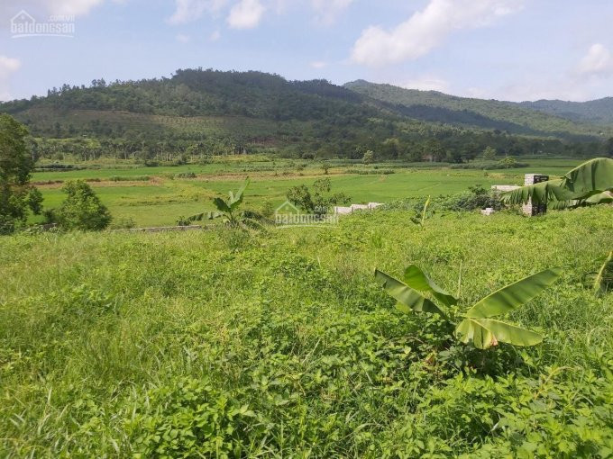 Lô đất Vàng Trong Làng Nghỉ Dưỡng Cực Phẩm Tuyệt đẹp Tại Yên Bài, Ba Vì, Hà Nội 5