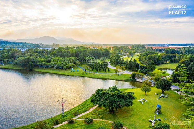 Lý Do đầu Tư Biệt Thự Flamingo đại Lải Resort - Phân Khu Signature, Biệt Thự View Hồ, Bể Bơi Riêng 1