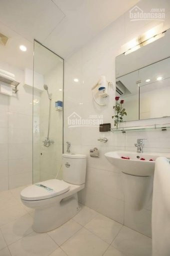 Mặt Phố Bạch Mai Diện Tích Khủng 452m2, Mặt Tiền 10m, Giá Chỉ 120 Tỷ, Lh 0986136686 7