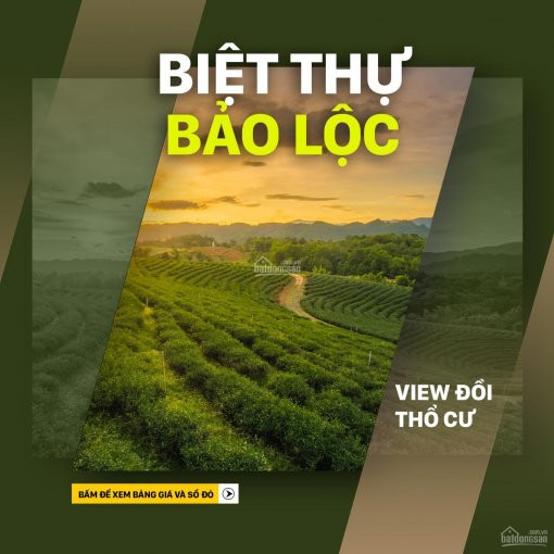 Nền Biệt Thự Nghỉ Dưỡng View đồi Xanh Mát - Full Thổ Cư, Thích Hợp Nghỉ Dưỡng - đầu Tư Ngắn Hạn 4