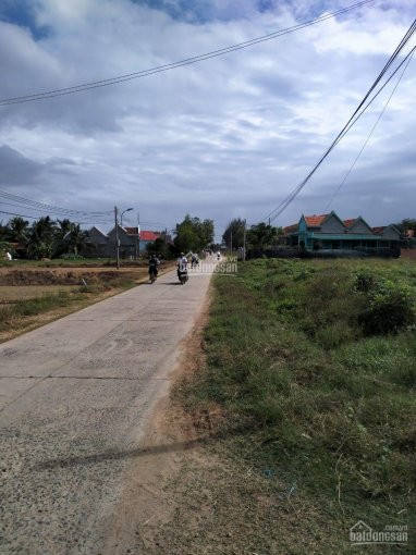 Nhà Kho Sân Bãi Cần Bán Gấp Tại Ninh Trung Ninh Hoà 1