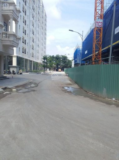 Nhà Phố Cityland Park Hill, Phường 10, Vị Trí Siêu đẹp Nhà đã Có Sổ Hồng, 1 Hầm, 4l, Dt 5x20m 8