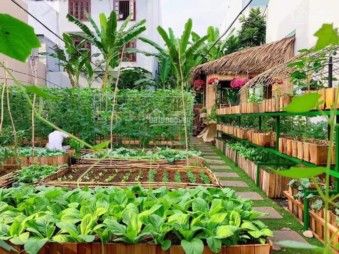 Nhà Vườn Sinh Thái Nghỉ Dưỡng Củ Chi Sài Gòn Farm Garden 2