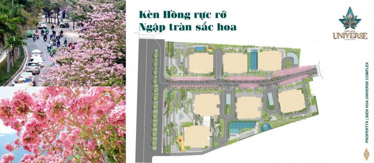 Pkd Dự án Biên Hòa Universe Complex Hưng Thịnh, Nhận Giữ Chỗ Chính Thức, Có Hoàn Lại, 0936539463 3