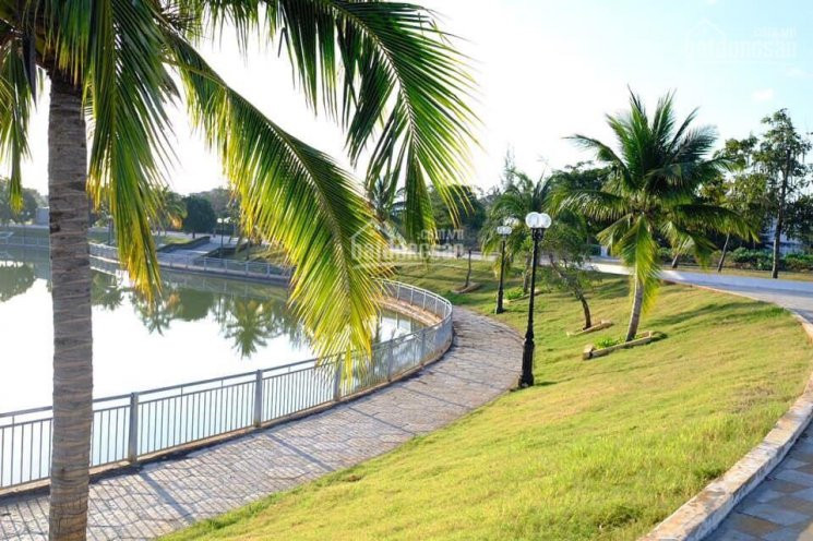 Sở Hữu đất Nền Golden Bay View Công Viên Hướng đông Nam Sát Bên Quảng Trường 126m2 Giá Tốt 2