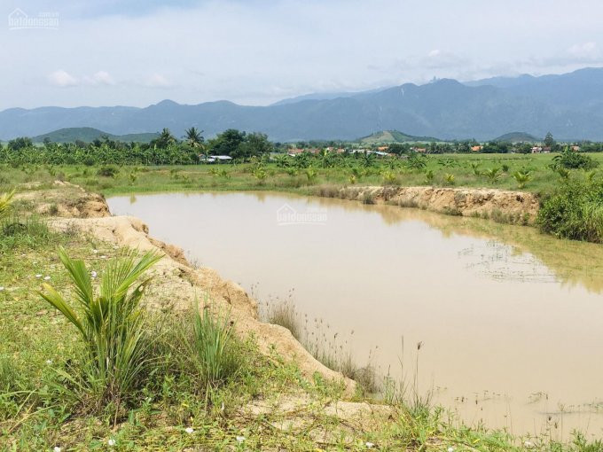 Trang Trại Gần Hoàn Thiện Tại Ninh Xuân, Ninh Hoà 2