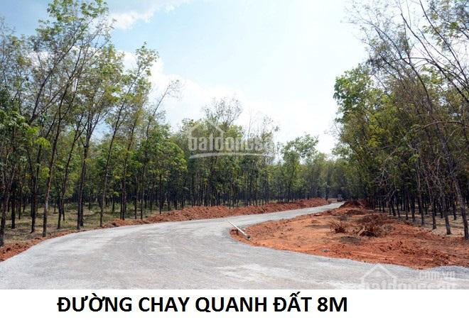 [trực Tiếp Chủ] 25000m2 Có 700m2 Thổ đối Diện Kcn Lộc An, Cách Sân Bay Long Thành 2km đường 18m 3