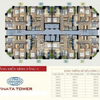 10 Suất Ngoại Giao Giá 28tr/m2 Cc Vinata Tower, Quận Cầu Giấy Và Hàng Chuyển Nhượng Cắt Lỗ 300tr
