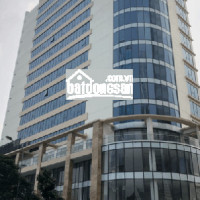 Bql Cho Thuê Vp Sao Mai Building - Lê Văn Lương, Dt 110m2 - 200m2 - 350m2, Giá Chỉ 210 Nghìn/m2/th