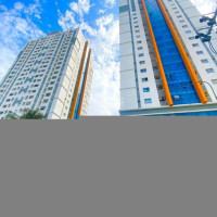 Căn 2pn (violet Tower) 50m2 Chung Cư Sen Hồng Mua đón Tết Tân Sửu