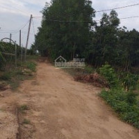 Chính Chủ Bán Nhanh 22 Mẫu đất Xã Bông Trang, Có 200m Mặt Tiền đường đất đỏ 10m, điện Nước, đầy đủ Giá 270tr/sào
