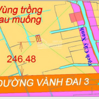 Chính Chủ Bán Nhanh đất 520m2 Gần đường Vành đai 3, Rạch Cây Xanh Bình Mỹ, Củ Chi