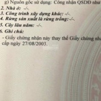 Chính Chủ Bán Nhanh đất đẹp Q7 Xe Hơi Tận đất Chỉ 4,2ty