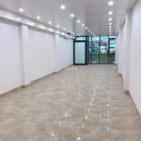 Chính Chủ Bán Nhanh Nhà đỉnh Nguyễn Khang 95m2, 8 Tầng, 29 Tỷ, Thang Máy