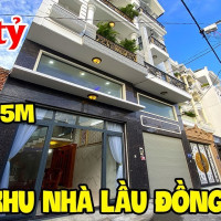 Chính Chủ Bán Nhanh Nhà Phố Tân Bình đường Cống Lở, Phường 15, Tân Bình, Hẻm Xe Hơi 5m Giá 7,6 Tỷ