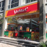 Chính Chủ Bán Nhanh Shop Vinhomes Central Park 132m2 160m2 170m2 180m2 190m2 220m2 Giá 25 - 70 Tỷ, Lh 0977771919