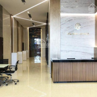 Chính Chủ Cho Thuê Nhanh Văn Phòng 42m2 Tại Tòa Nhà The Sun Avenue Quận 2 Tặng 01 Tháng Phí Quản Lý Tòa Nhà