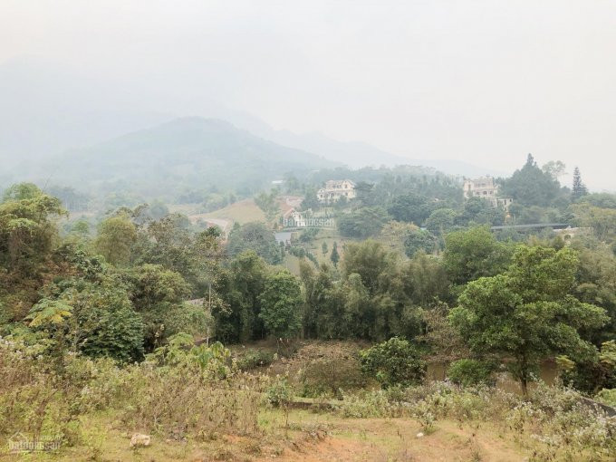 1000m View Hồ Cố đụng - Tiến Xuân, Sau Là View Nhà Của Tớ Tuyệt đẹp 2