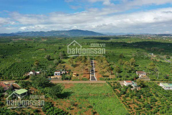 137m2 đất Lộc An, Ngã Ba Tứ Quý, View Như Phim Hàn 2