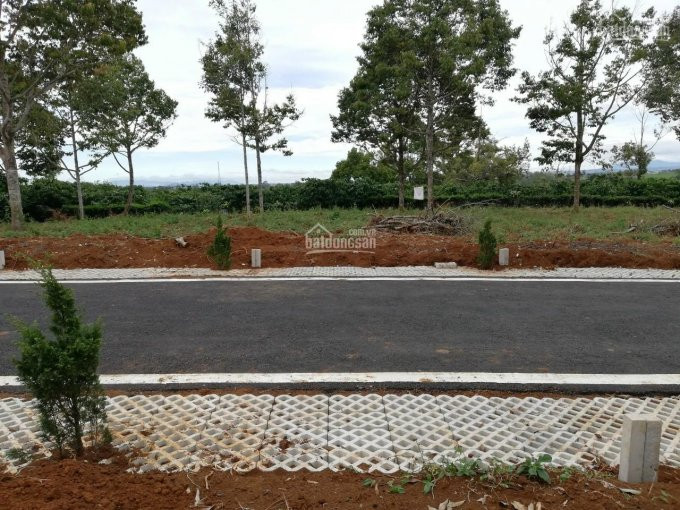 137m2 đất Lộc An, Ngã Ba Tứ Quý, View Như Phim Hàn 4