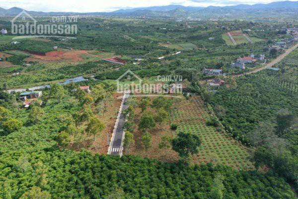 137m2 đất Lộc An, Ngã Ba Tứ Quý, View Như Phim Hàn 5