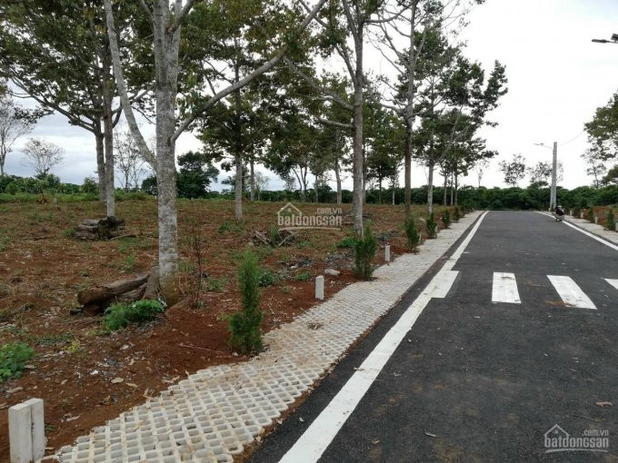 137m2 đất Lộc An, Ngã Ba Tứ Quý, View Như Phim Hàn 6