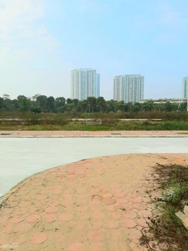 40m2 đất Dv1 Cửu Cao Sau Dãy Mặt đường 23m Giáp Ecopark Giá đầu Tư, 0945851369 1