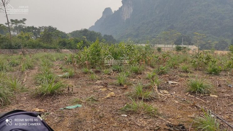 9840m2 Có 400 đất ở Còn Lại Là đất Trồng Cây Lâu Năm, Liên Sơn - Lương Sơn 2