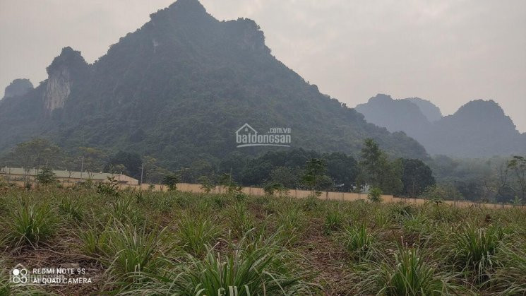 9840m2 Có 400 đất ở Còn Lại Là đất Trồng Cây Lâu Năm, Liên Sơn - Lương Sơn 3
