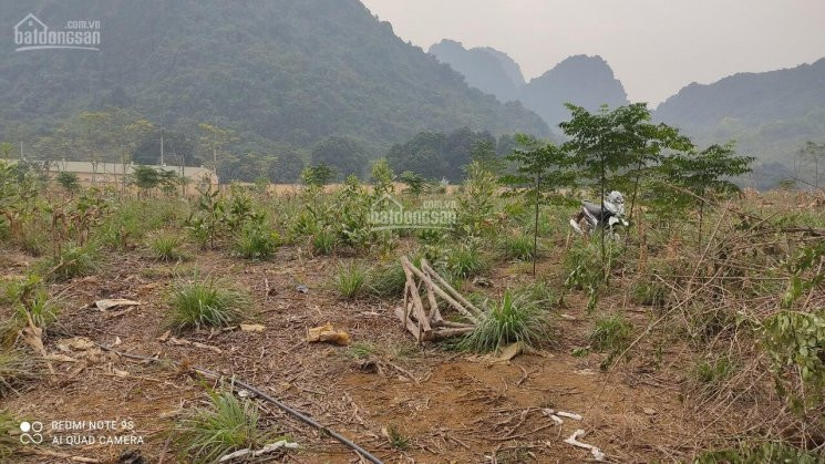 9840m2 Có 400 đất ở Còn Lại Là đất Trồng Cây Lâu Năm, Liên Sơn - Lương Sơn 4