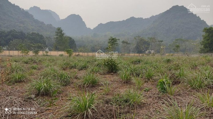 9840m2 Có 400 đất ở Còn Lại Là đất Trồng Cây Lâu Năm, Liên Sơn - Lương Sơn 5