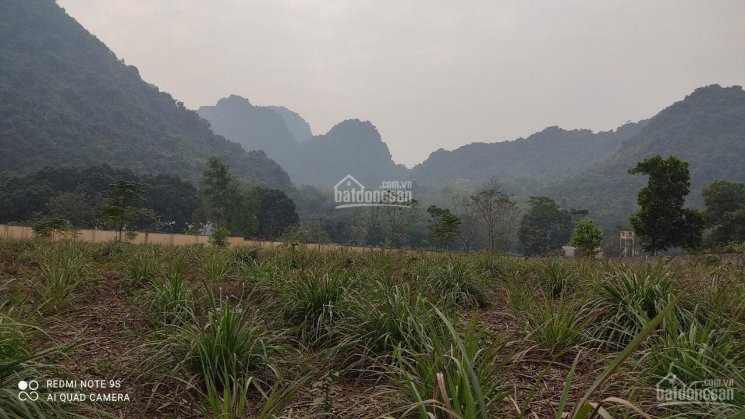 9840m2 Có 400 đất ở Còn Lại Là đất Trồng Cây Lâu Năm, Liên Sơn - Lương Sơn 6