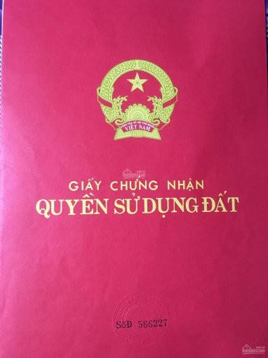 Bán đất Chính Chủ - đường Lê Hồng Phong, Phường Phú Thọ, Thủ Dầu Một ~ 800m2 1