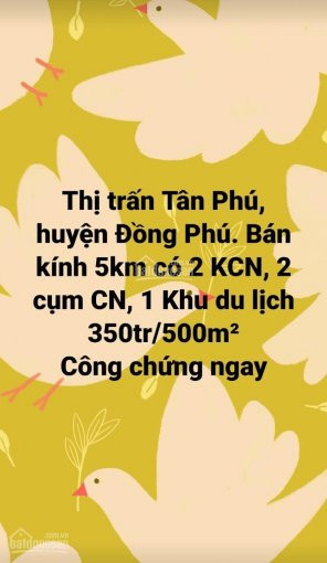 Bán đất Thị Trấn Tân Phú Giáp Tthc Mới 350 Triệu/500m2 Công Chứng Ngay 6