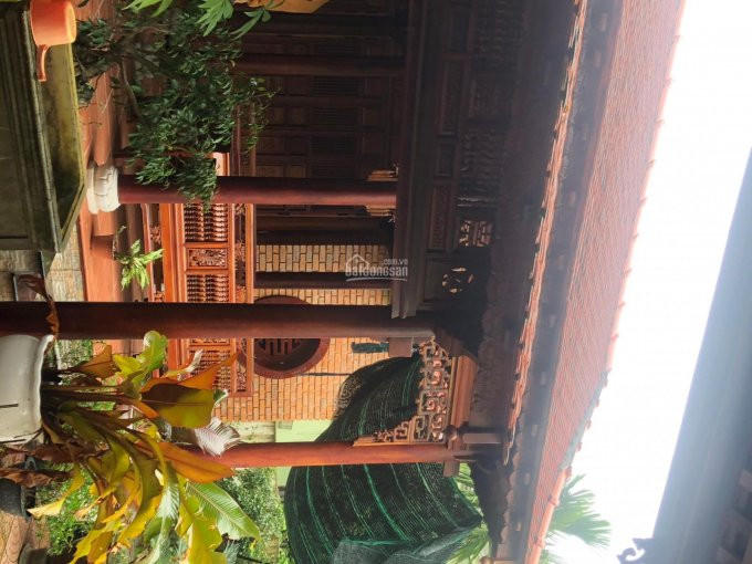 Bán Khu Nhà Rường đẳng Cấp Mặt Tiền Minh Mạng,gần Resort Làng Hành Hương,1000 M2 Tặng Nội Thất 3 Tỷ 4