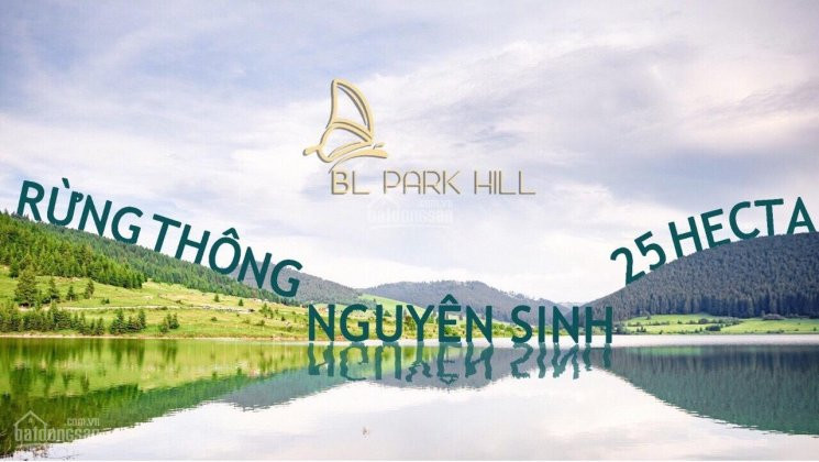 Bảo Lộc Parkhill, Siêu Phẩm Kết Hợp Vẻ đẹp Tự Nhiên Hoang Và Con Người Hiện đại Hiếu Khá 6