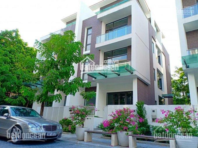 Biệt Thự Imperia Garden 203 Nguyễn Huy Tưởng 196m Căn đẹp Vị Trí đẹp, Chính Chủ Giá Ngoại Giao 1