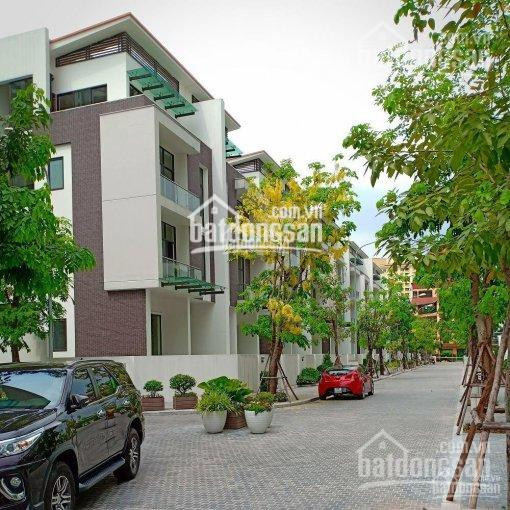 Biệt Thự Imperia Garden 203 Nguyễn Huy Tưởng 196m Căn đẹp Vị Trí đẹp, Chính Chủ Giá Ngoại Giao 3