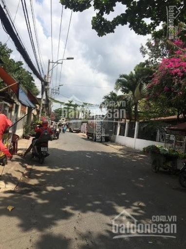 Cần Tiền Bán Liền Lô Mt đào Trí, Q7,giá: 235 Tỷ/100m2, Gần Siêu Thị Bigc, Thổ Cư 100% Sổ Chính Chủ 3