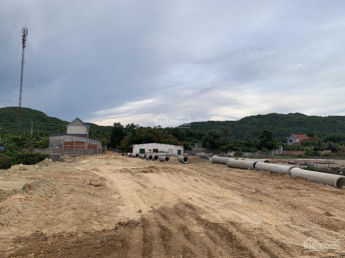 Chính Chủ Bán Nhanh 63 Hecta đất Giá 19 Triệu/m2 Tl, đường Ql44, Xã An Ngải, H Long điền, Bà Rịa - Vũng Tàu 2