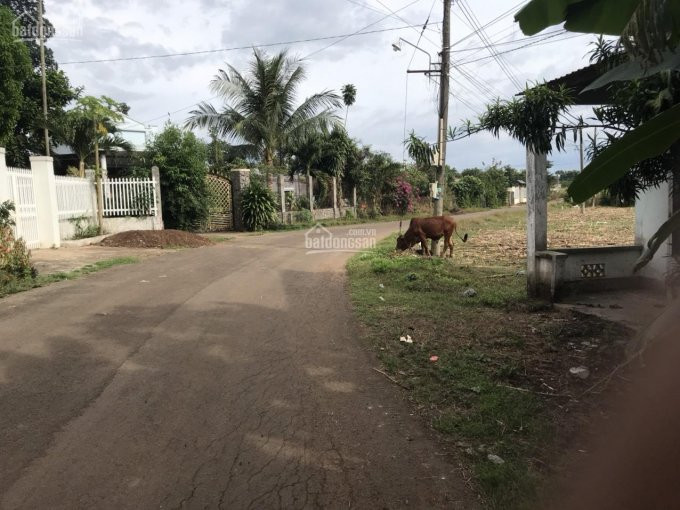 Chính Chủ Bán Nhanh đất Mặt Tiền đường Số 6, Bầu Trâm, Tp Long Khánh 5