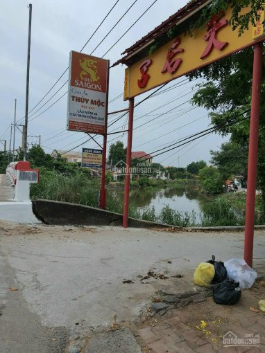 Chính Chủ Bán Nhanh đất Xây Biệt Thự View Sông, Trung Tâm Phường Chánh Nghĩa, Thủ Dầu Một, Bình Dương 5