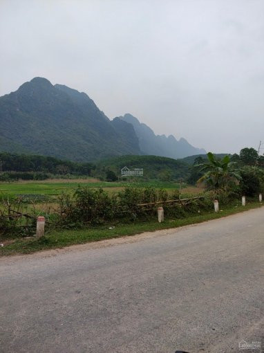 Chính Chủ Bán Nhanh Gấp 2,7ha Bám đường Nhựa Gần 100m Phù Hợp Làm Kho Xưởng,trang Trại Tại Kim Bôi,hoà Bình 2