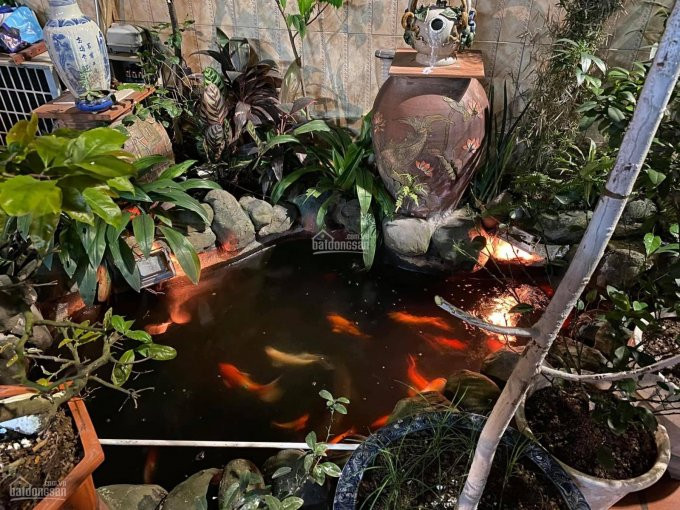 Chính Chủ Bán Nhanh Gấp Nhà Liền Kề - Mặt Phố Mai Dịch 70m2  7 Tầng  Kinh Doanh 3